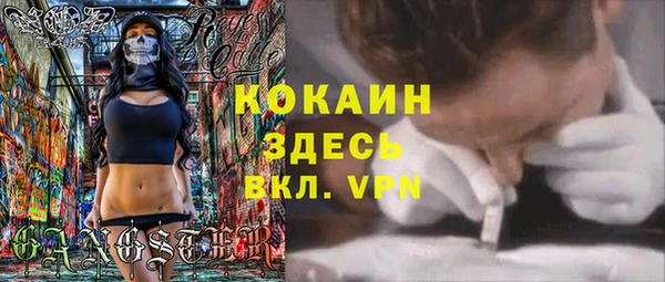 сатива Болхов