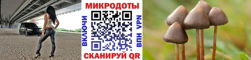 Галлюциногенные грибы мицелий Александровск-Сахалинский