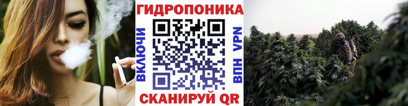 Шишки марихуана гибрид Александровск-Сахалинский